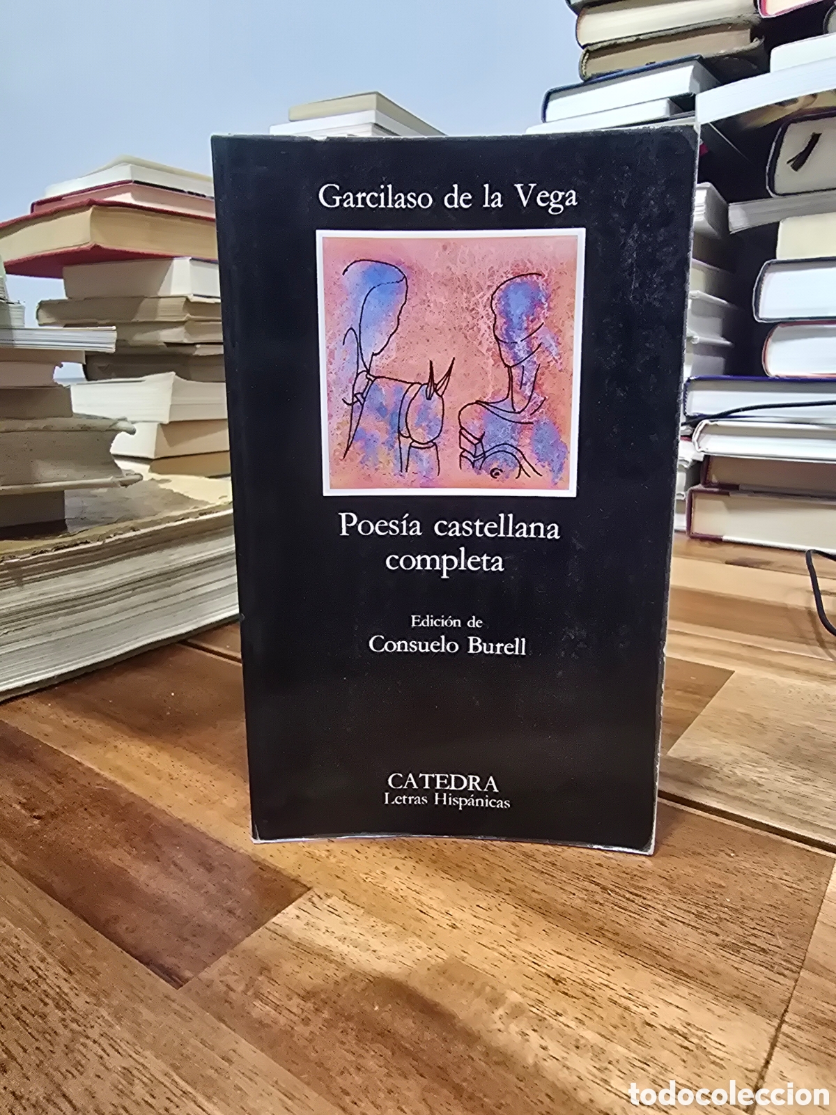 Libros de segunda mano: POESIA CASTELLANA COMPLETA Garcilaso de la Vega CATEDRA 1987 poesia clasicos