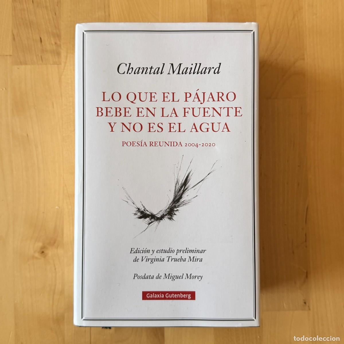 Libros de segunda mano: Lo que el p&aacute;jaro bebe en la fuente y no es el agua - Chantal Maillard
