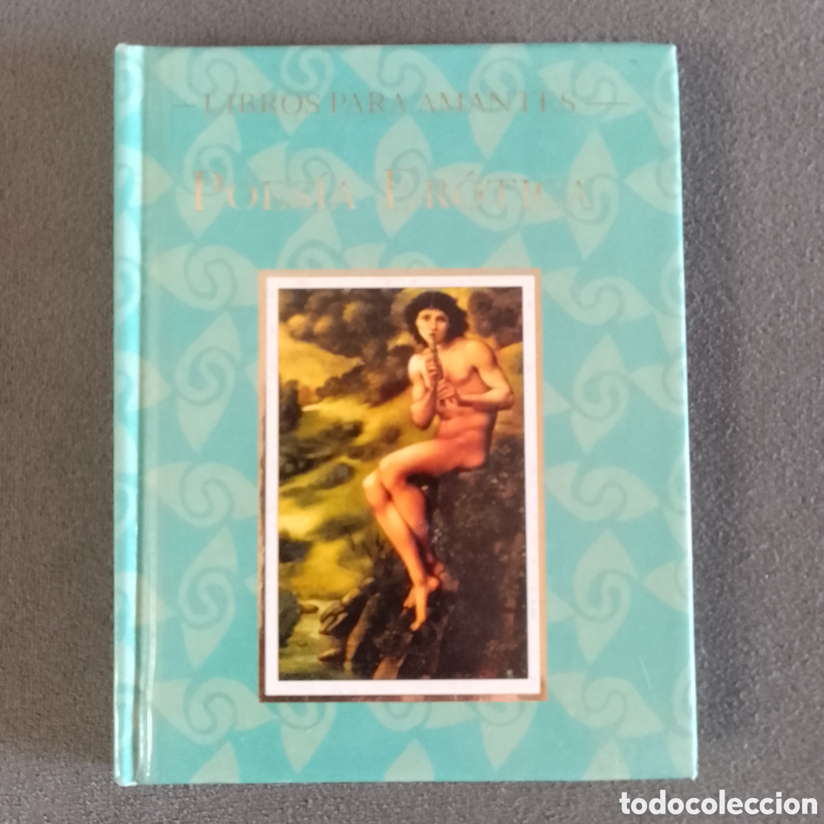 Libros de segunda mano: POESIA EROTICA LIBROS PARA AMANTES POR VICENTE MU&Ntilde;OZ PUELLES 1996 ILUSTRADO