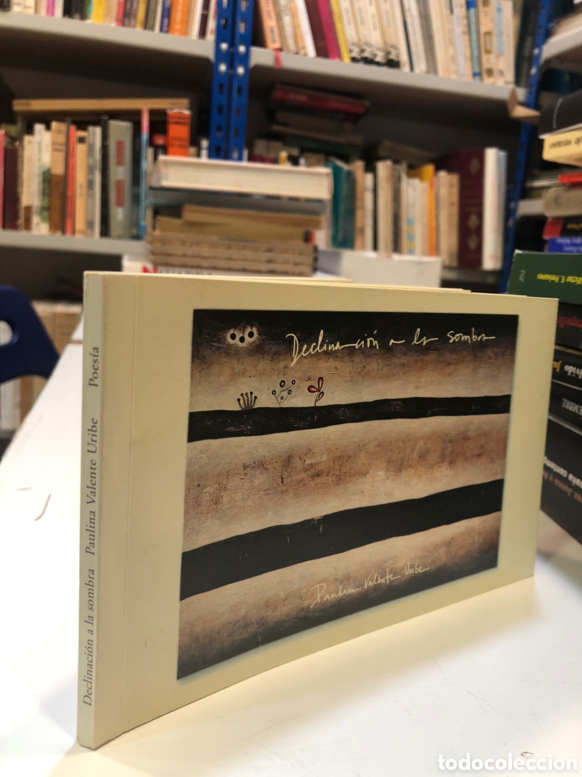 Libros de segunda mano: Declinaci&oacute;n a la sombra - Paulina Valente Uribe