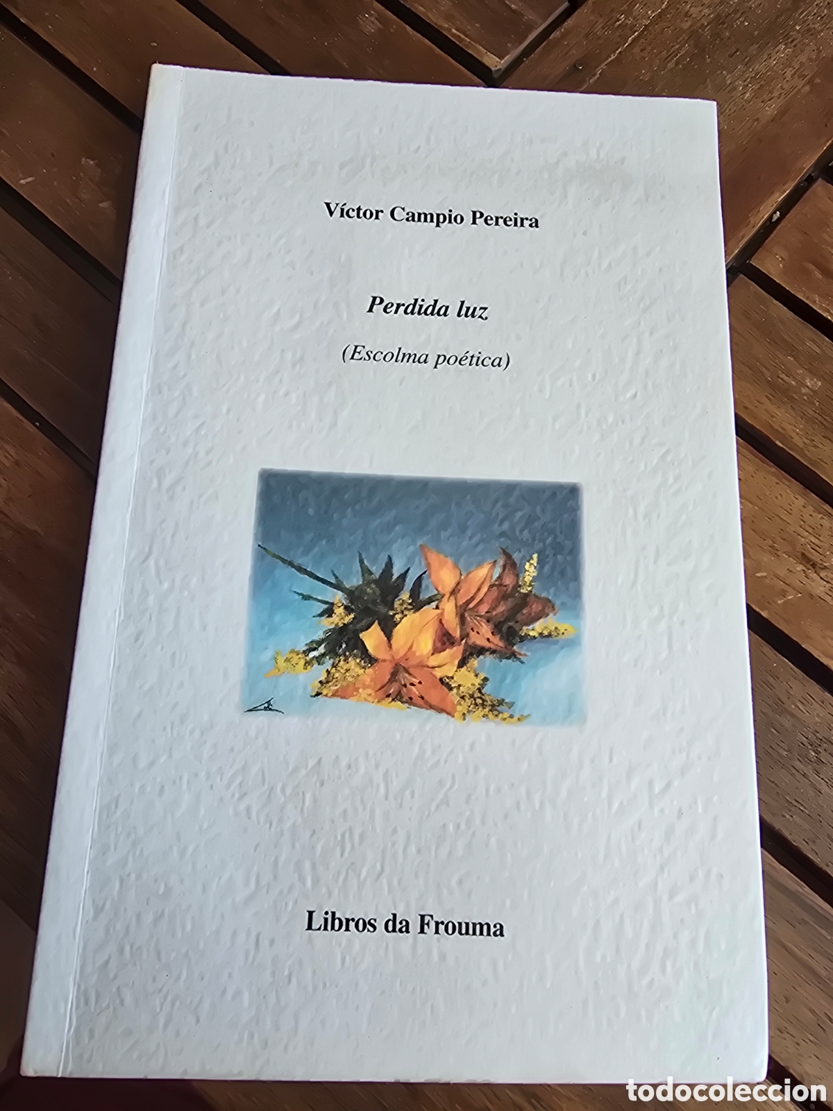 Libros de segunda mano: PERDIDA LUZ (PERDIDA POETICA) Victor Campio Pereira LIBROS DA FROUMA 2000 poesia