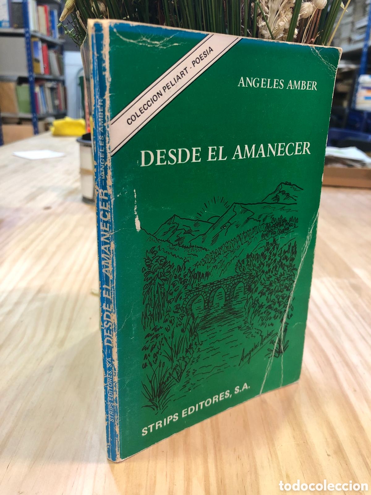 Gebrauchte B&uuml;cher: Desde el amanecer - &Aacute;ngeles Amber