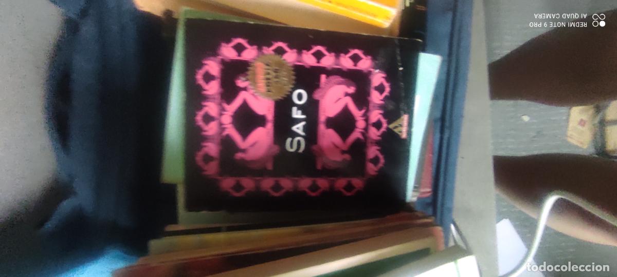 Libros de segunda mano: Safo &mdash; Safo &mdash; MONDADORI
