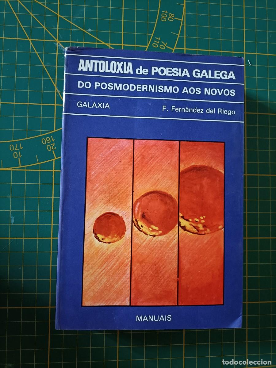 Libros de segunda mano: ANTOLOX&Iacute;A DE POES&Iacute;A GALEGA,DO POSMODERNISMO AOS NOVOS-GALAXIA-F.FERN&Aacute;NDEZ DEL RIEGO-1980-MANUAIS