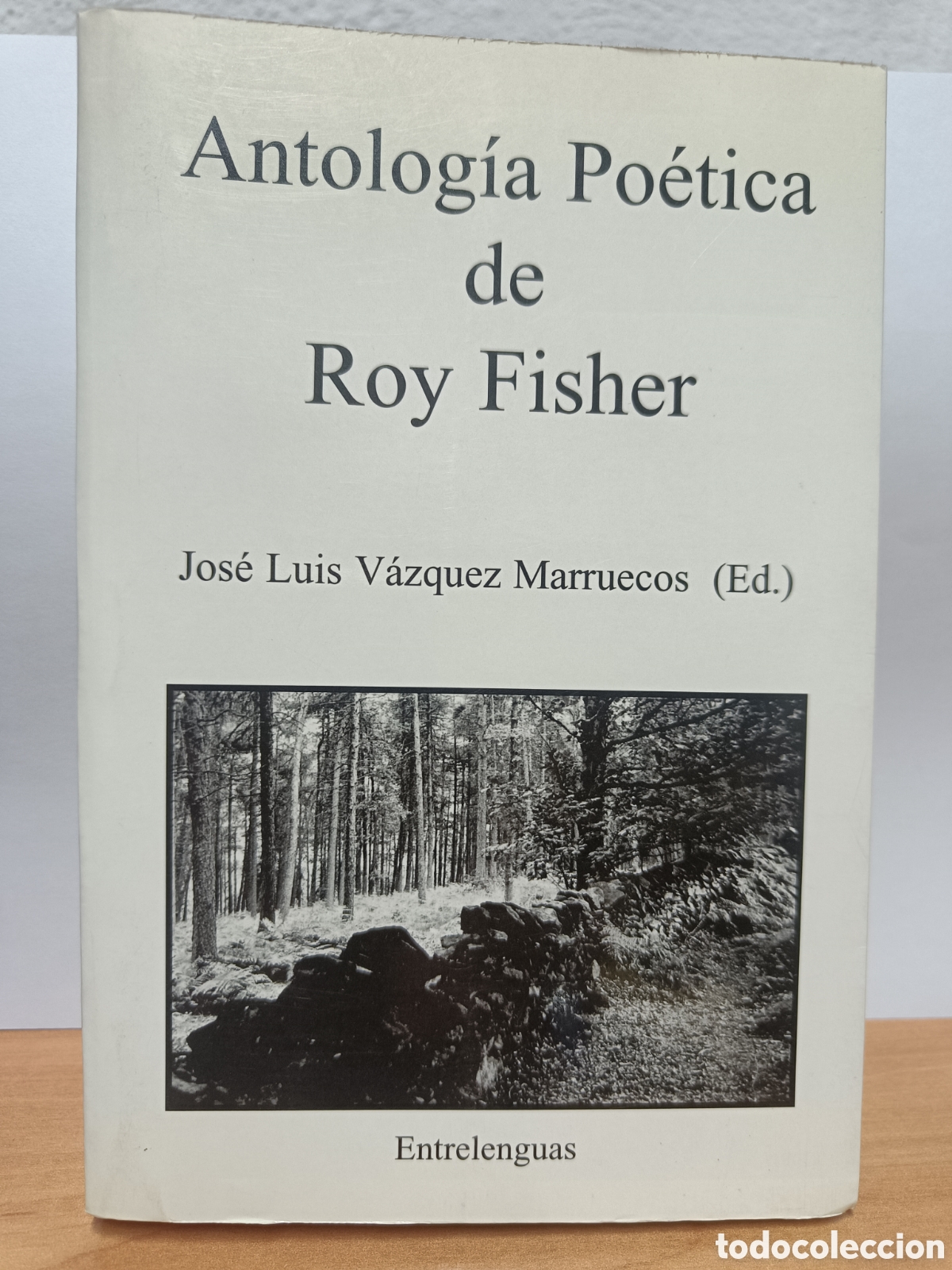 Libros de segunda mano: ANTOLOG&Iacute;A PO&Eacute;TICA DE ROY FISHER. JOS&Eacute; LUIS V&Aacute;ZQUEZ MARRUECOS (ED.)