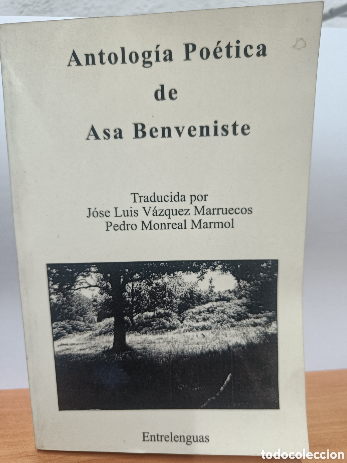 Libri di seconda mano: ANTOLOG&Iacute;A PO&Eacute;TICA DE ASA BENVENISTE (BILING&Uuml;E). JOS&Eacute; LUIS V&Aacute;ZQUEZ MARRUECOS (ED.)