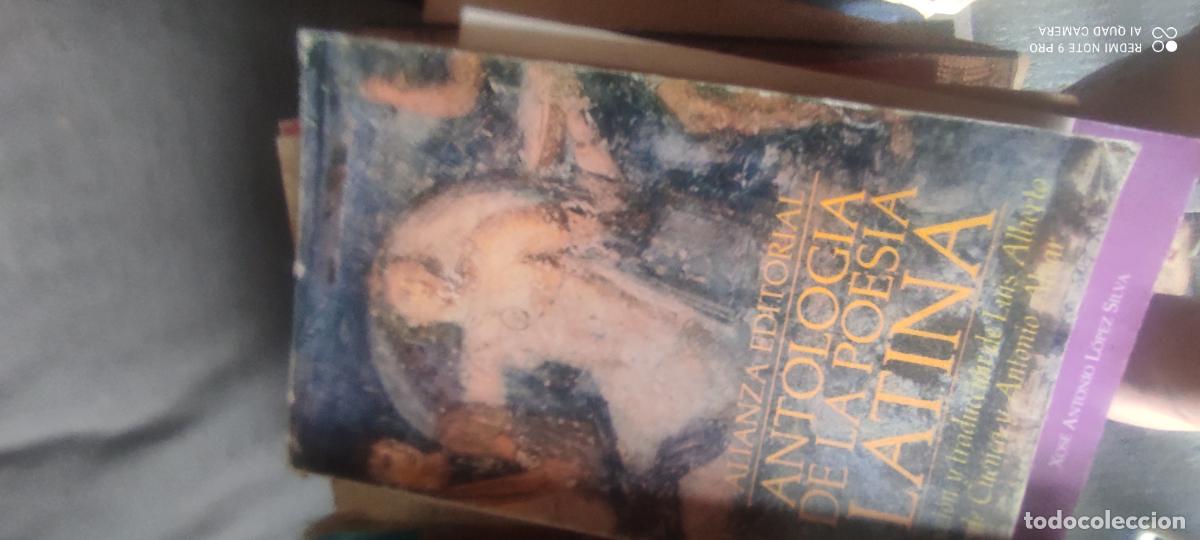 Libros de segunda mano: ANTOLOGIA DE LA POESIA LATINA. ALIANZA EDITORIAL. 1981.