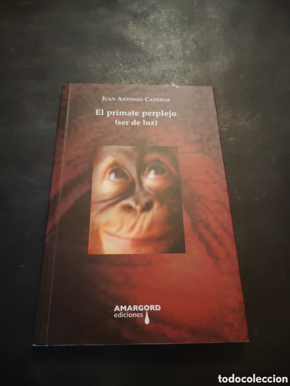 Libros de segunda mano: El primate perplejo (ser de luz) de Juan Antonio Cadenas