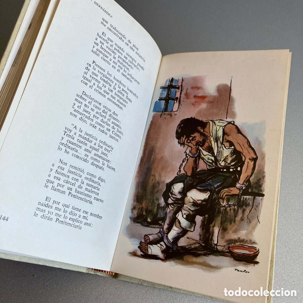 Libri di seconda mano: Mart&iacute;n Fierro, Jos&eacute; Hern&aacute;ndez - Ilustrado - EDAF, 1967