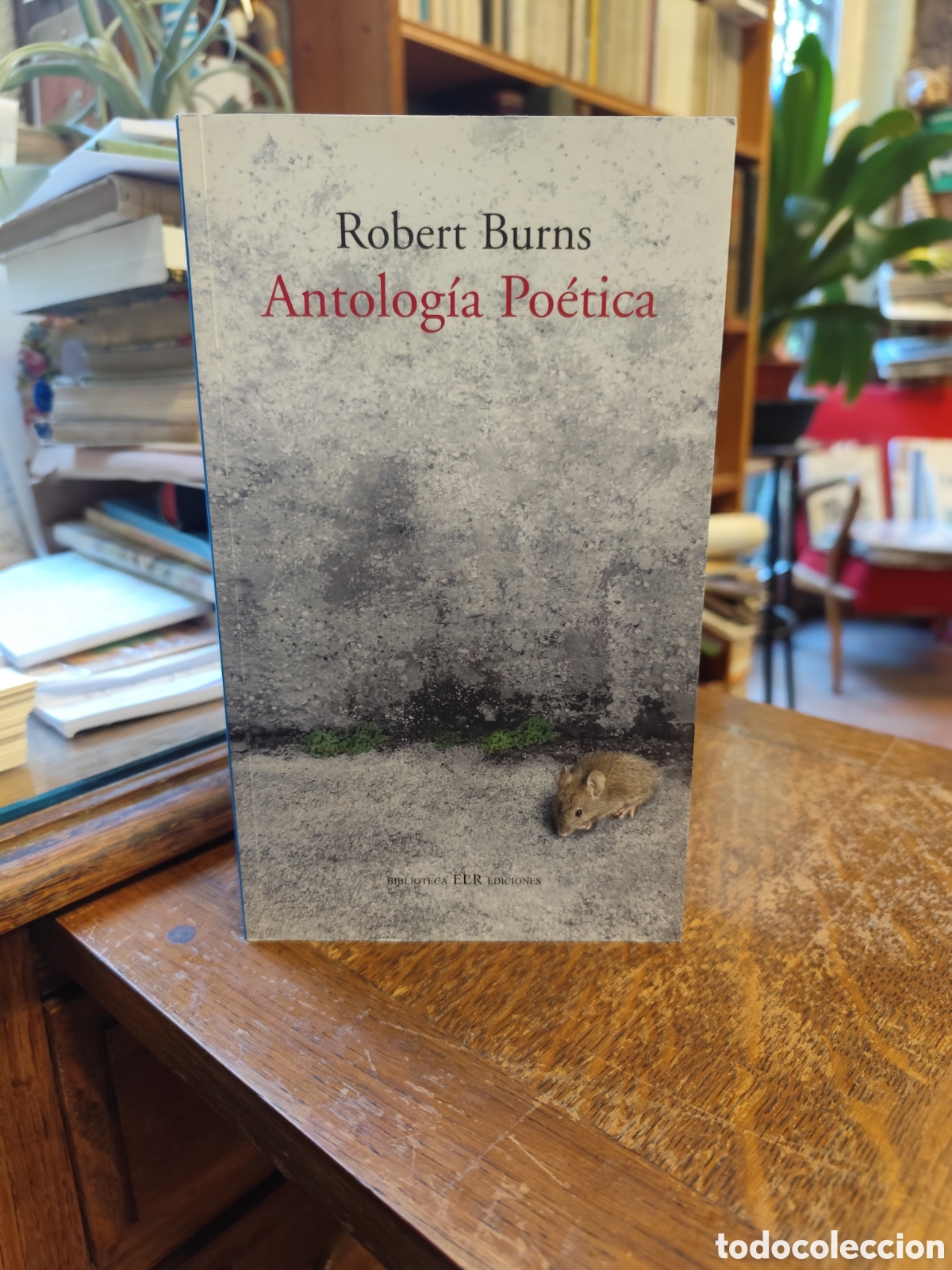 Libros de segunda mano: Antolog&iacute;a Po&eacute;tica Robert Burns