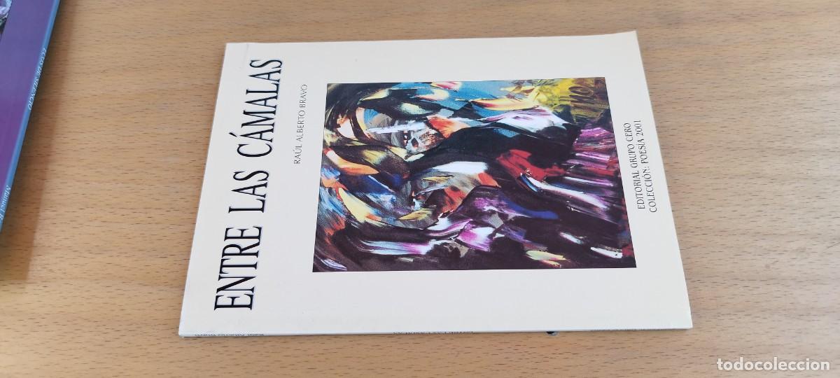 Libros de segunda mano: ENTRE LAS CAMALAS / RAUL ALBERTO BRAVO / KARA26 / GRUPO CERO /
