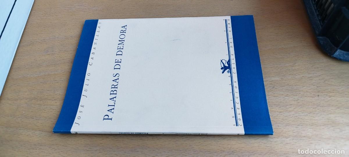 Libros de segunda mano: PALABRAS DE DEMORA / JOSE JULIO CABANILLAS / KARA32 / RENACIMIENTO