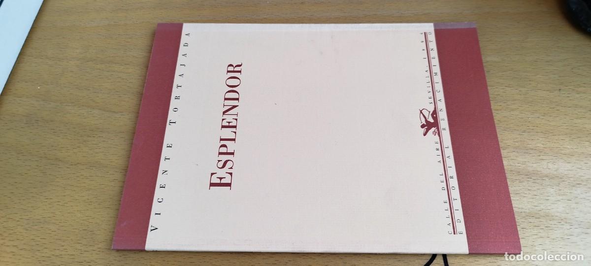 Libros de segunda mano: ESPLENDOR / VICENTE TORTAJADA / KARA33 / RENACIMIENTO