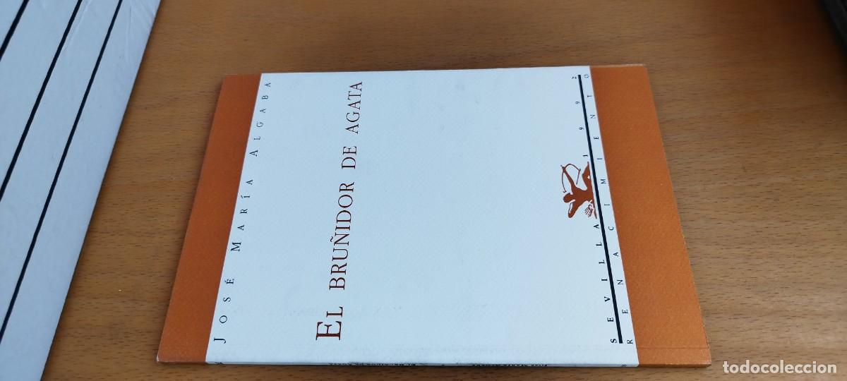 Libros de segunda mano: EL BRU&Ntilde;IDOR DE AGATA / JOSE MARIA ALGABA / KARA33 / RENACIMIENTO