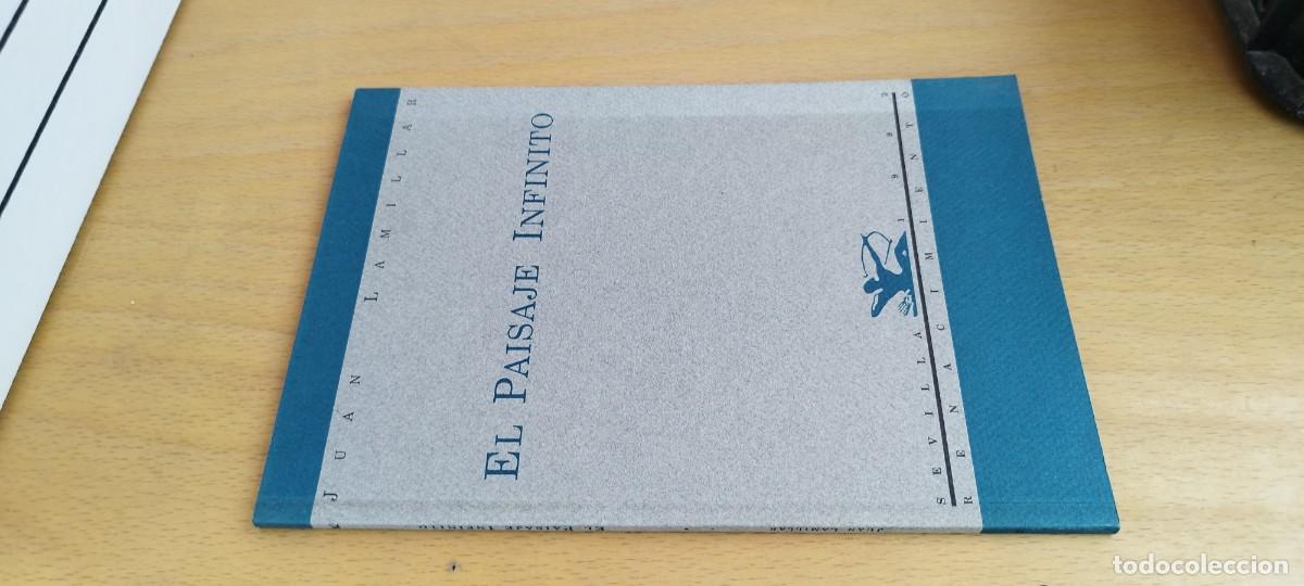 Libros de segunda mano: EL PAISAJE INFINITO / JUAN LAMILLAS / KARA33 / RENACIMIENTO