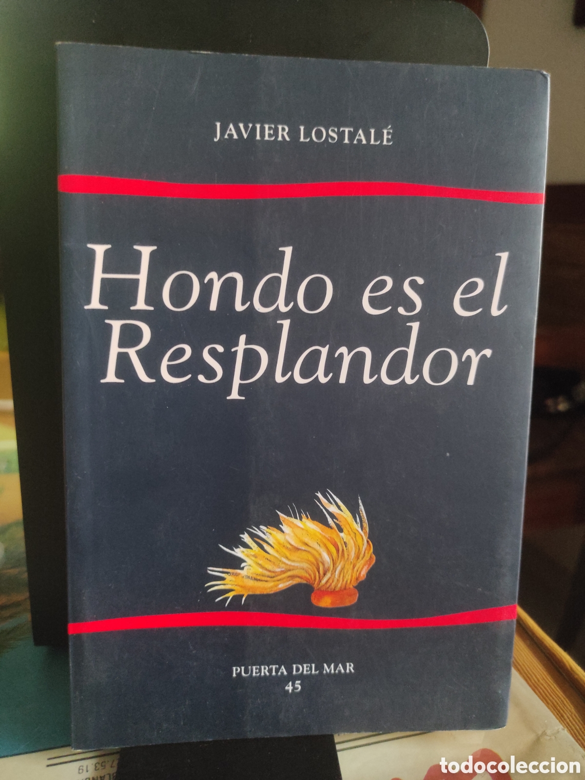 Libros de segunda mano: Hondo es el resplandor. Javier Lostal&eacute;. Puerta del mar n&ordm; 45