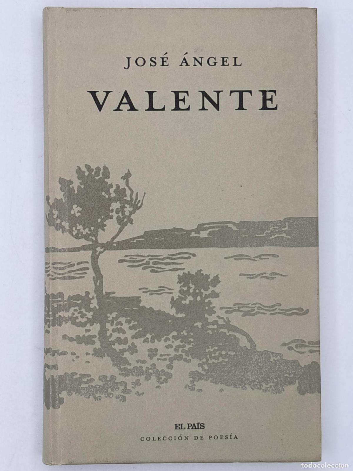 Libros de segunda mano: Antolog&iacute;a. Jos&eacute; &Aacute;ngel Valente - Valente, Jos&eacute; &Aacute;ngel