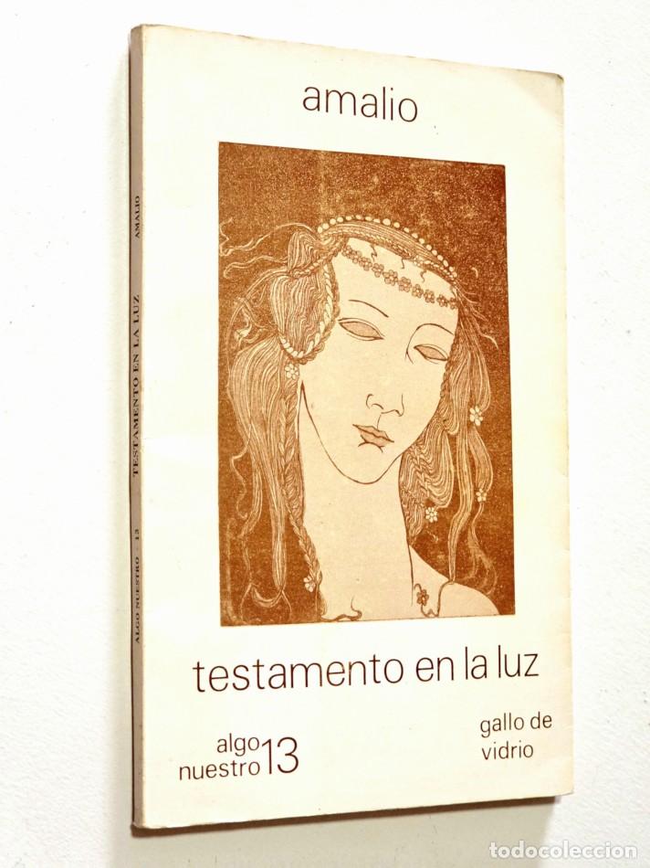Libros de segunda mano: TESTAMENTO EN LA LUZ - AMALIO (Amalio Garc&iacute;a del Moral)