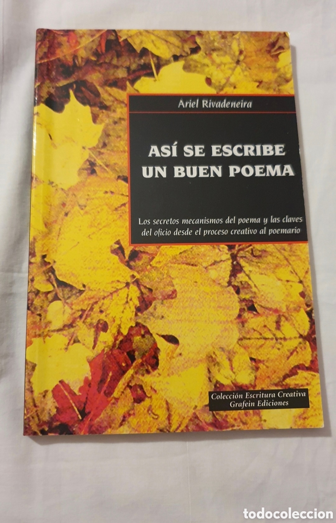 Libros de segunda mano: Libro:&rdquo;As&iacute; se escribe un buen poema&rdquo; A. Rivadeneira