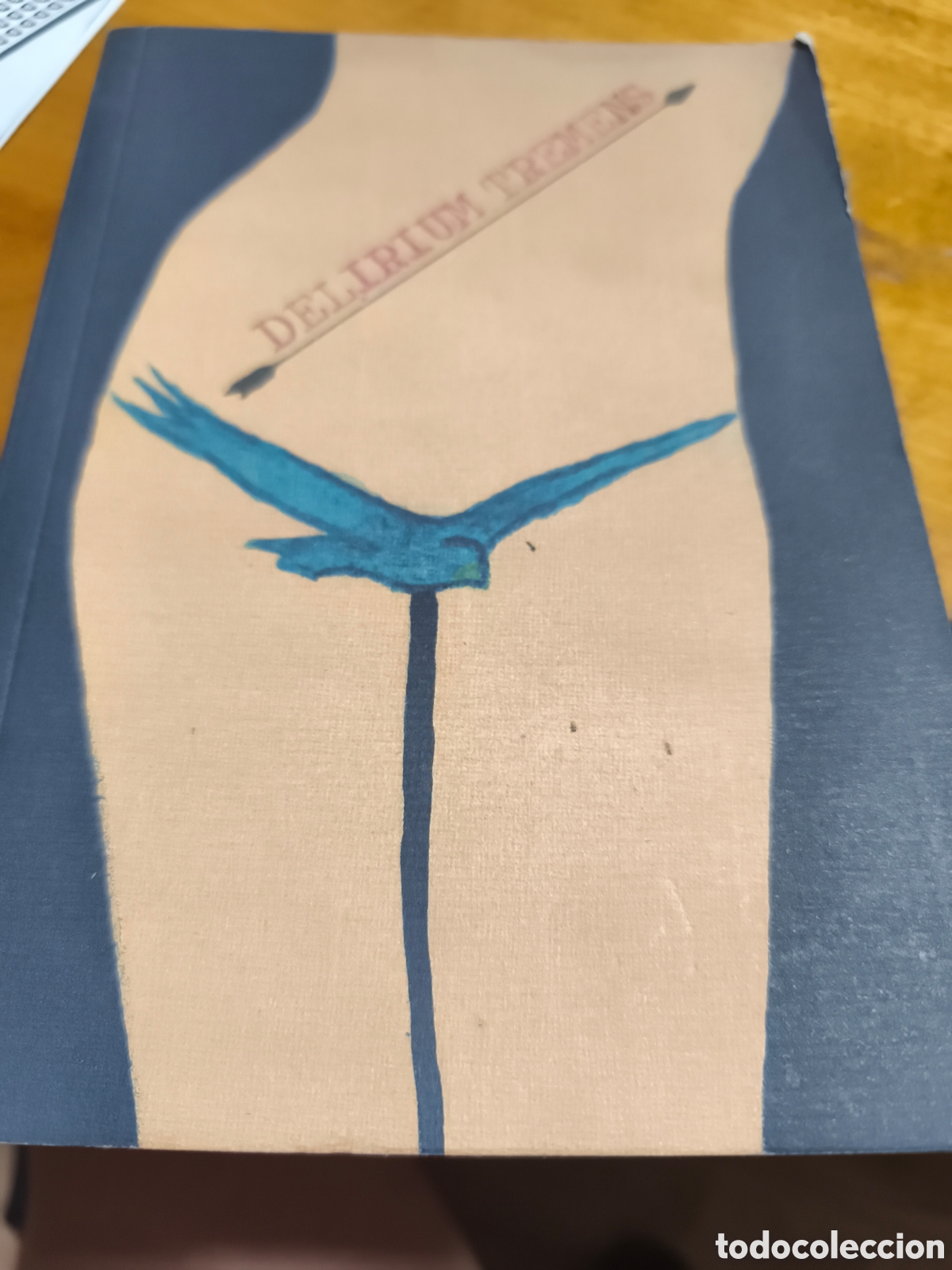 Libros de segunda mano: Del&iacute;rium tremens VV.AA nasciturus