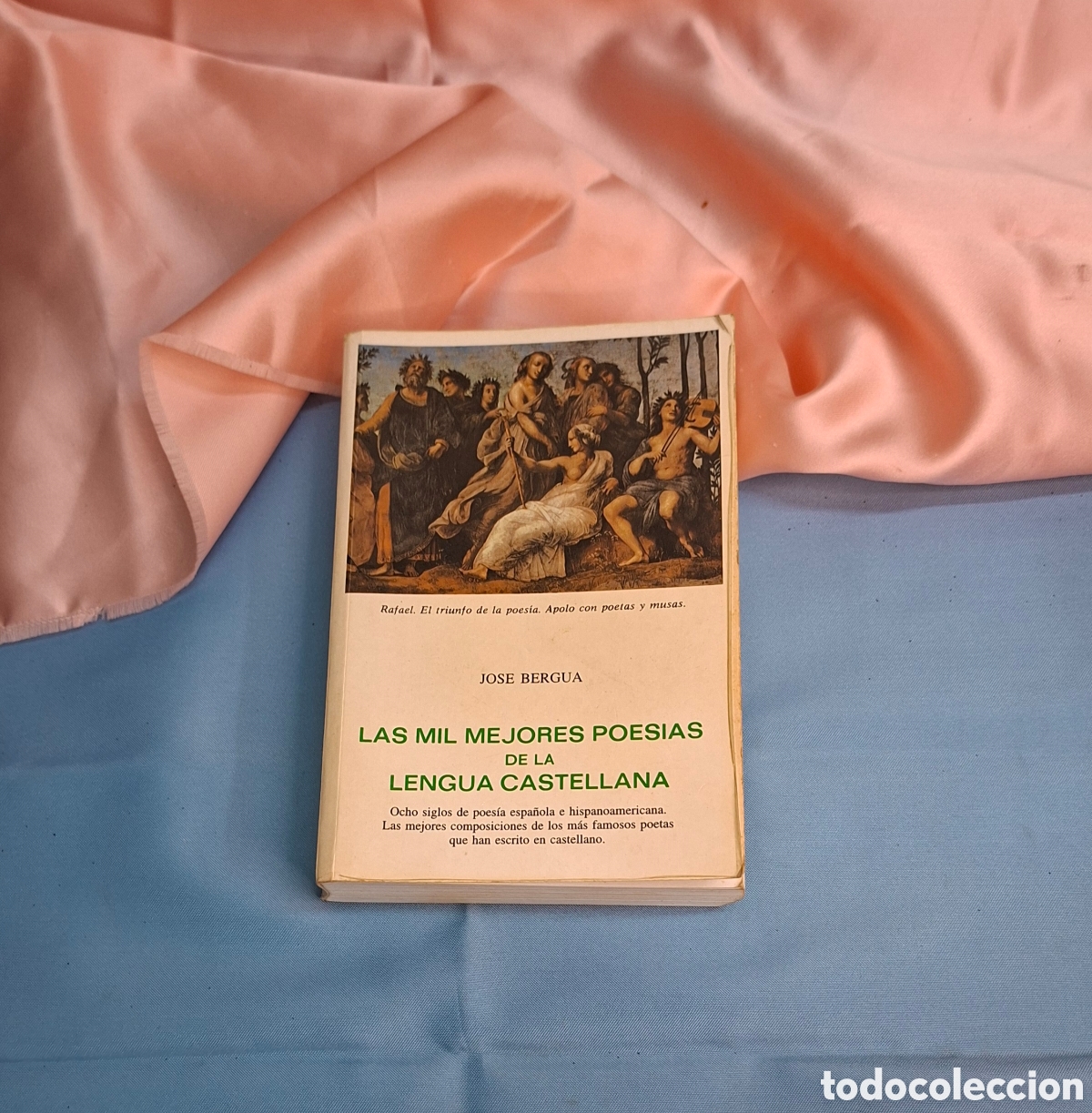 Libros de segunda mano: Las mil mejores poes&iacute;as de la lengua castellana Jos&eacute; Bergua