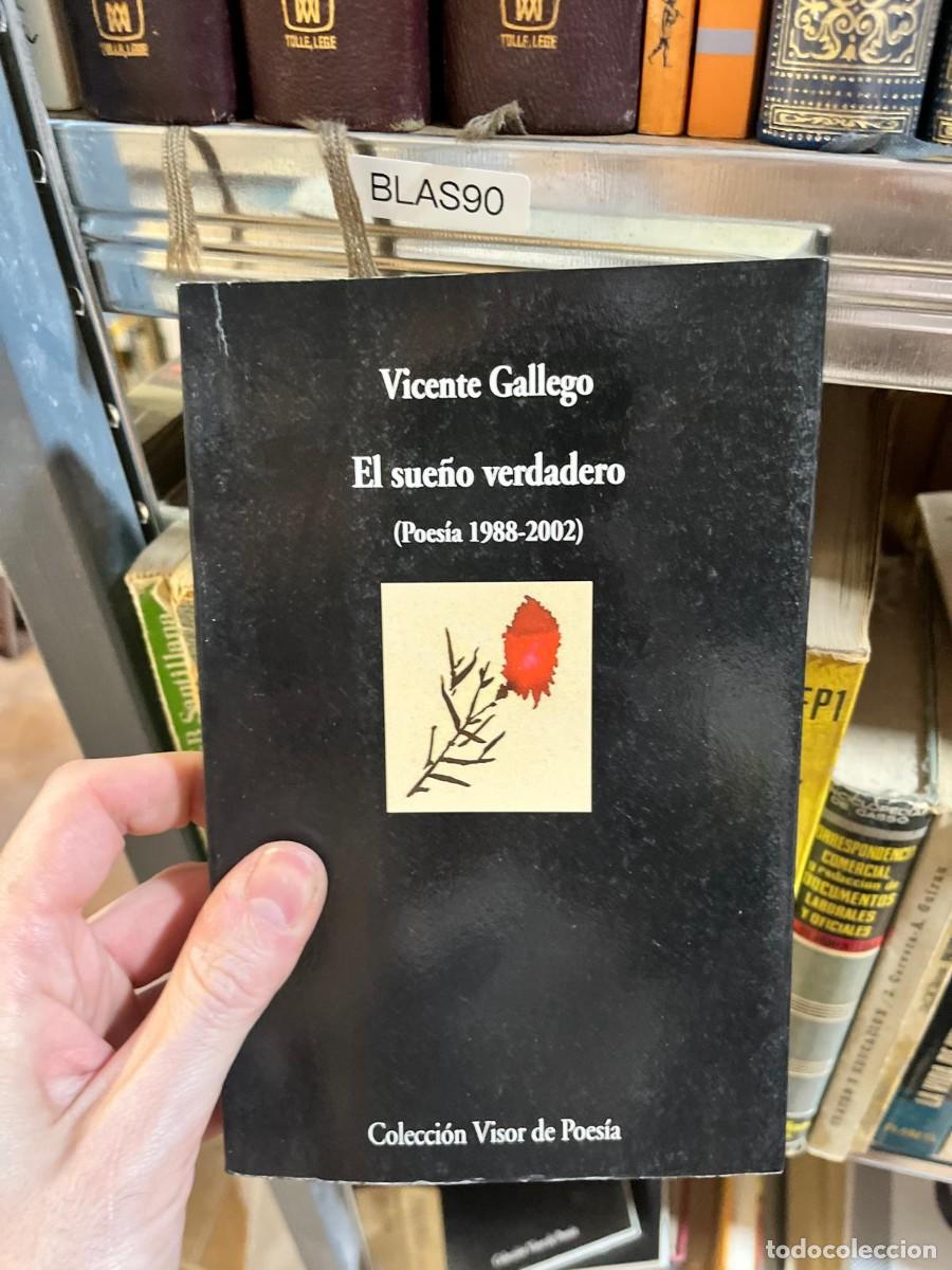 Libros de segunda mano: BLAS90 &ndash; El sue&ntilde;o verdadero (Poes&iacute;a 1988-2002) &mdash; Vicente Gallego. Visor.