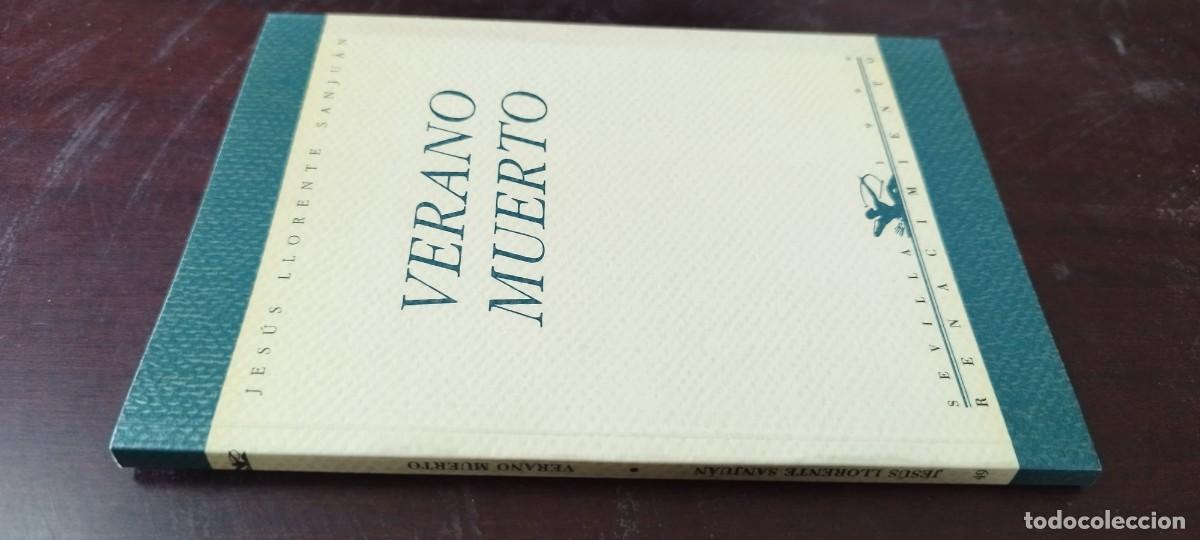 Libros de segunda mano: VERANO MUERTO / JESUS LLORENTE SANJUAN / KARA42 / RENACIMIENTO