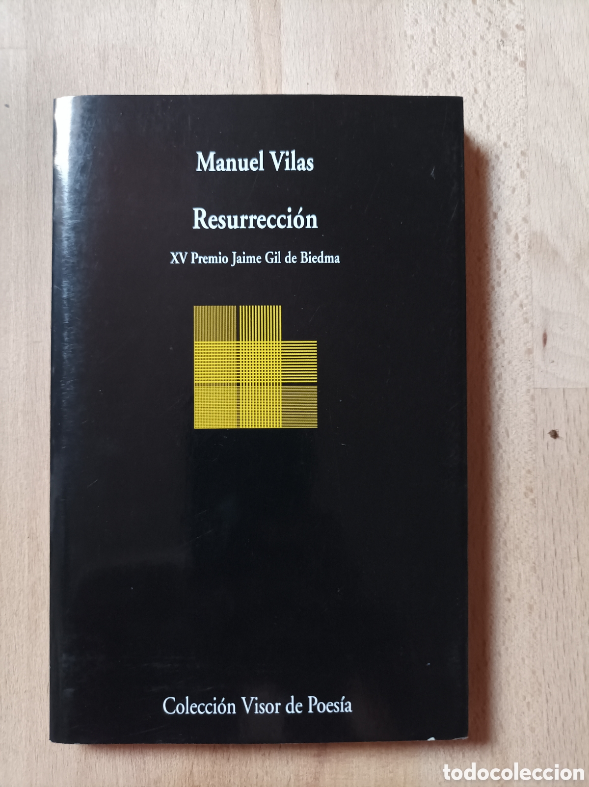 Livres d'occasion: Manuel Vilas, Resurrecci&oacute;n. XV Premio Jaime Gil de Biedma. / Visor