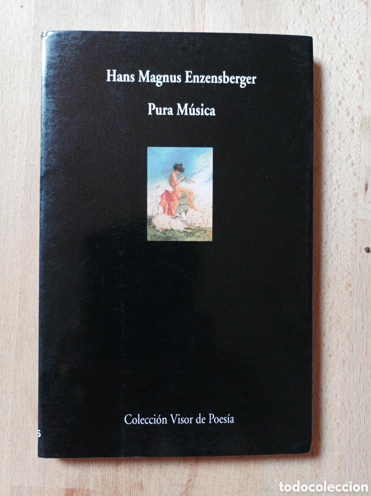 Livres d'occasion: PURA M&Uacute;SICA / Hans Magnus Enzensberger. Visor