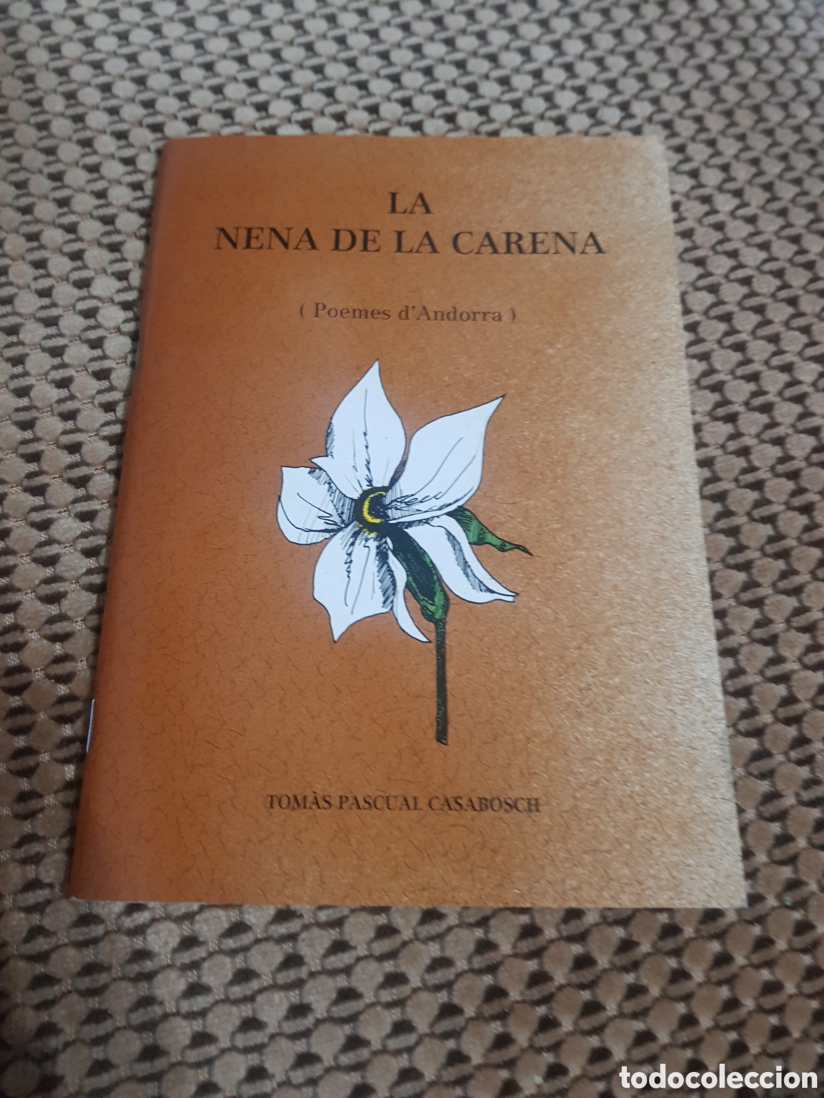 Libros de segunda mano: LA NENA DE LA CARENA poemes d.Andorra