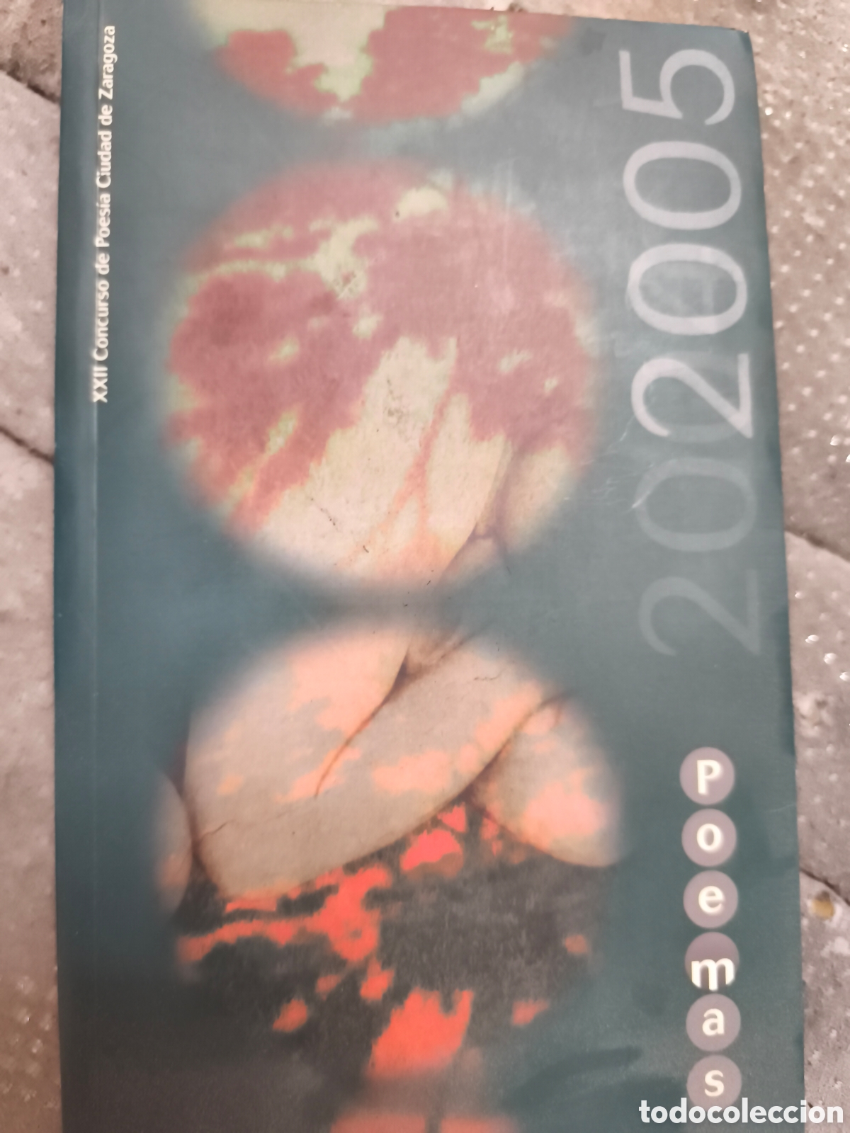 Libros de segunda mano: XXII concurso de poes&iacute;a ciudad de Zaragoza Poemas 2005