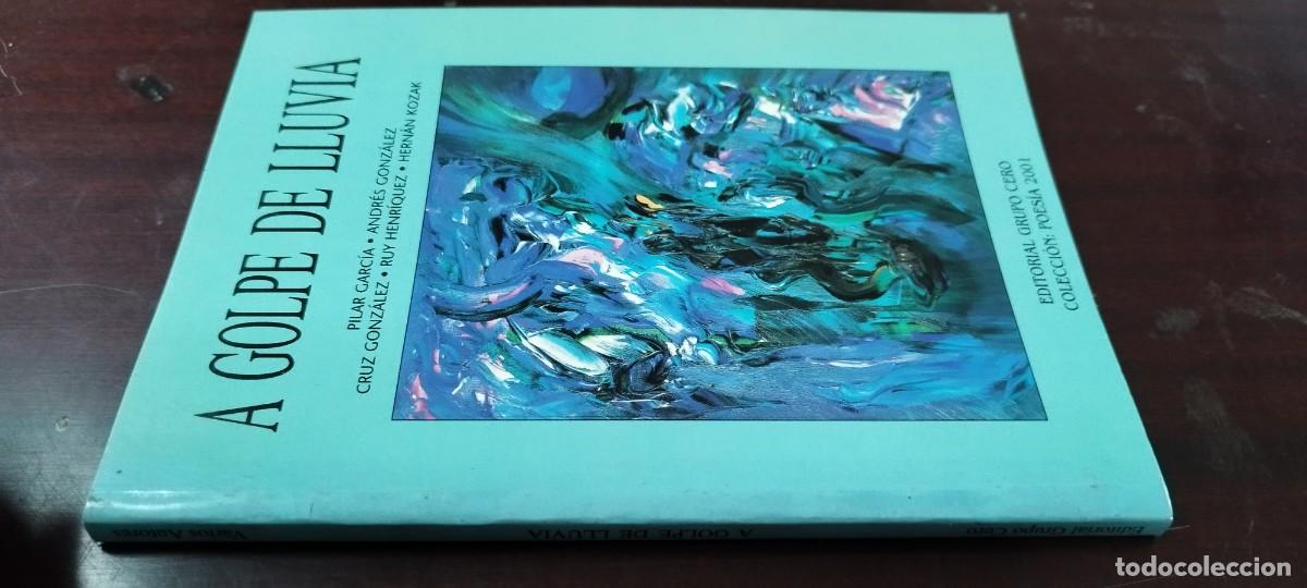 Libros de segunda mano: A GOLPE DE LLUVIA / GARCIA-GONALEZ-HENRIQUEZ-KOZAK / ZUX20 / GRUPO CERO