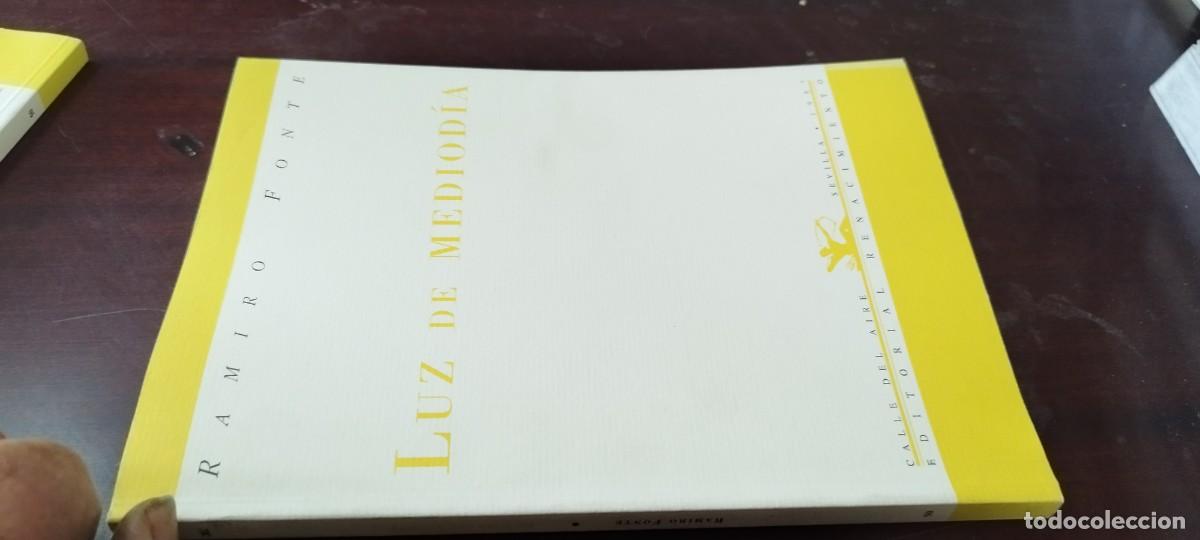 Libros de segunda mano: LUZ DE MEDIODIA / RAMIRO FONTE / ZUX20 / RENACIMIENTO