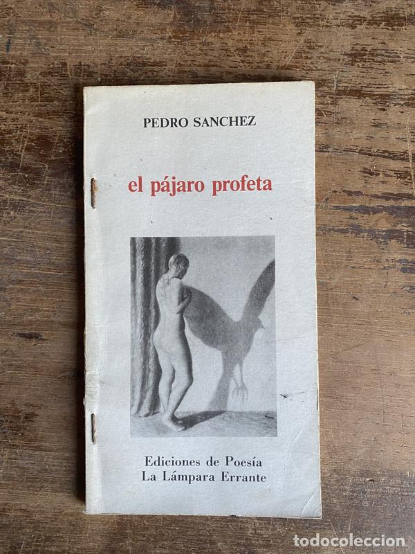 Libros de segunda mano: el pajaro profeta - Sanchez Pedro