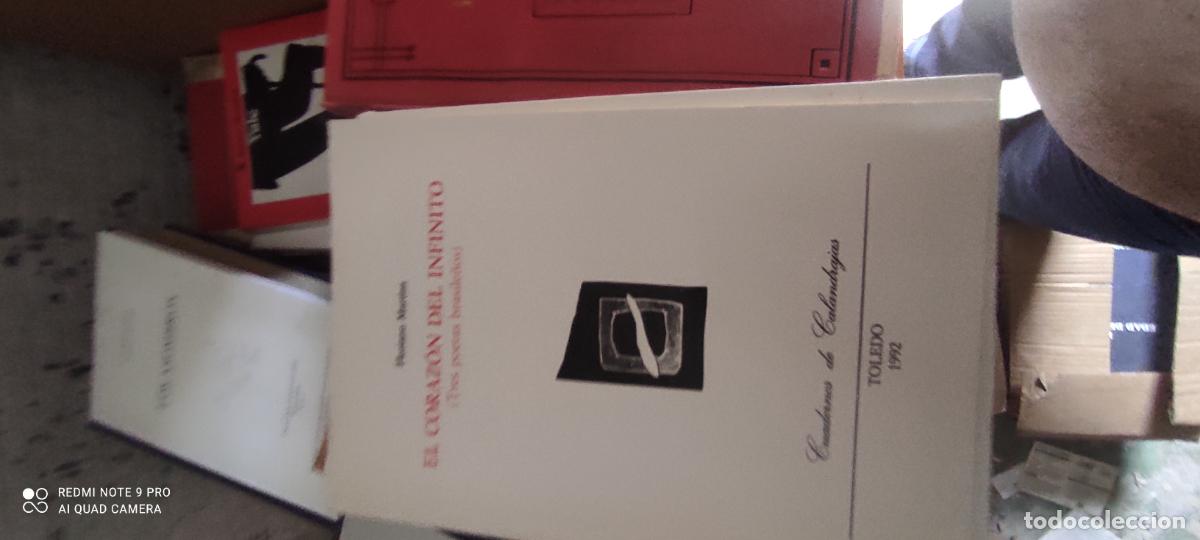 Libros de segunda mano: El Coraz&oacute;n del Infinito (Tres Poetas Brasile&ntilde;os) - Floriano Martins