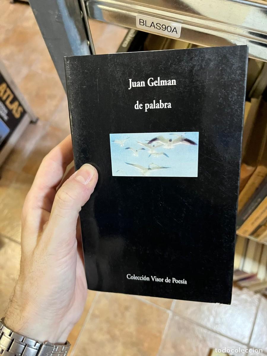 Libros de segunda mano: BLAS90A Juan Gelman, De palabra. Visor.