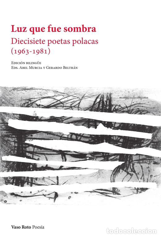 Libros de segunda mano: Luz que fue sombra. - VV.AA..