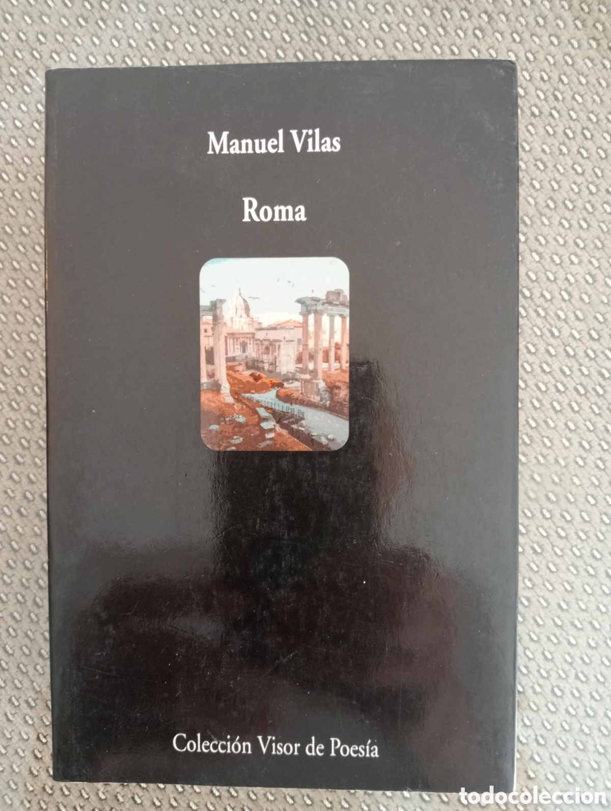 Libros de segunda mano: Roma / Manuel Vilas. Visor