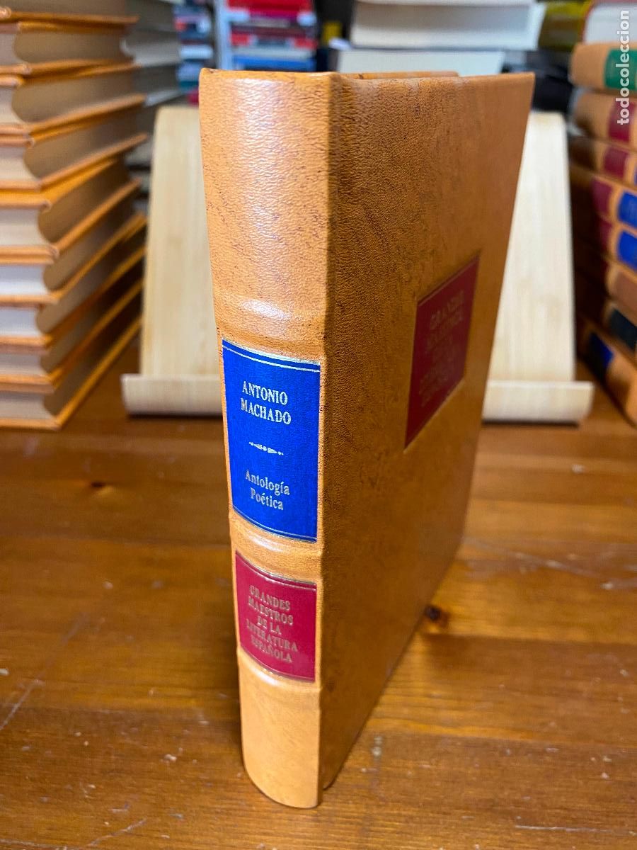 Libros de segunda mano: ANTOLOG&Iacute;A PO&Eacute;TICA. ANTONIO MACHADO. CLUB INTERNACIONAL DEL LIBRO