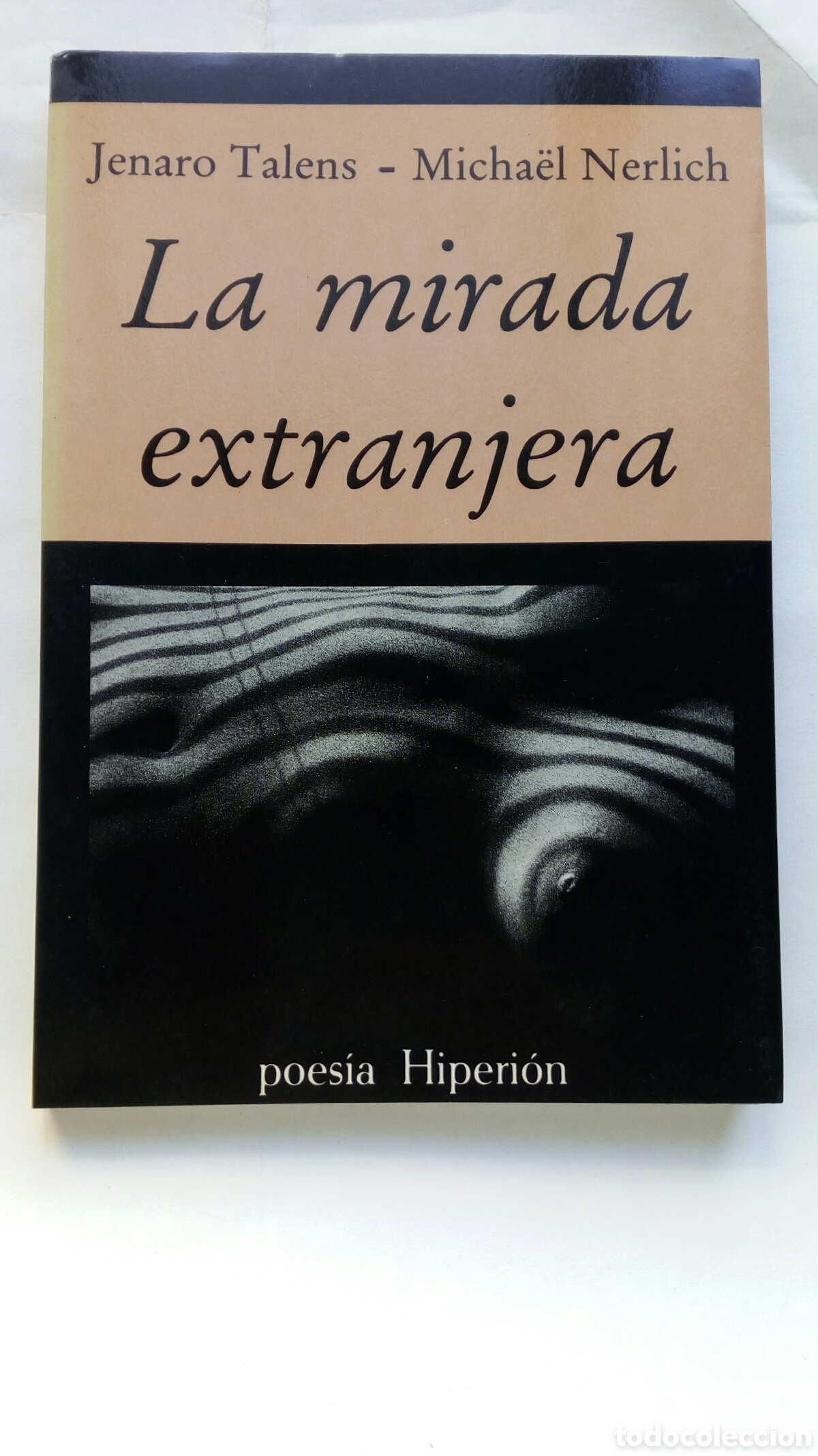 Libros de segunda mano: La mirada extranjera. Jenaro Talens - Micha&euml;l Nerlich. Dedicatoria del autor.