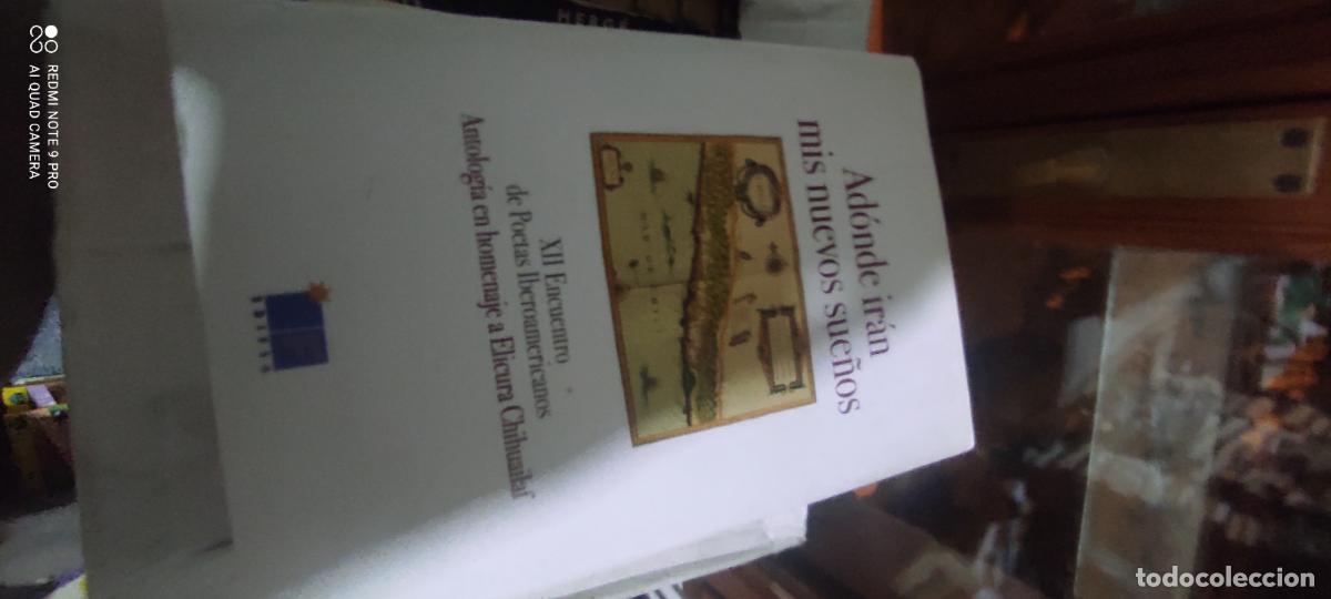 Second hand books: Ad&oacute;nde ir&aacute;n mis nuevos sue&ntilde;os . XII Encuentro de Poetas Iberoamericanos. (Antologia
