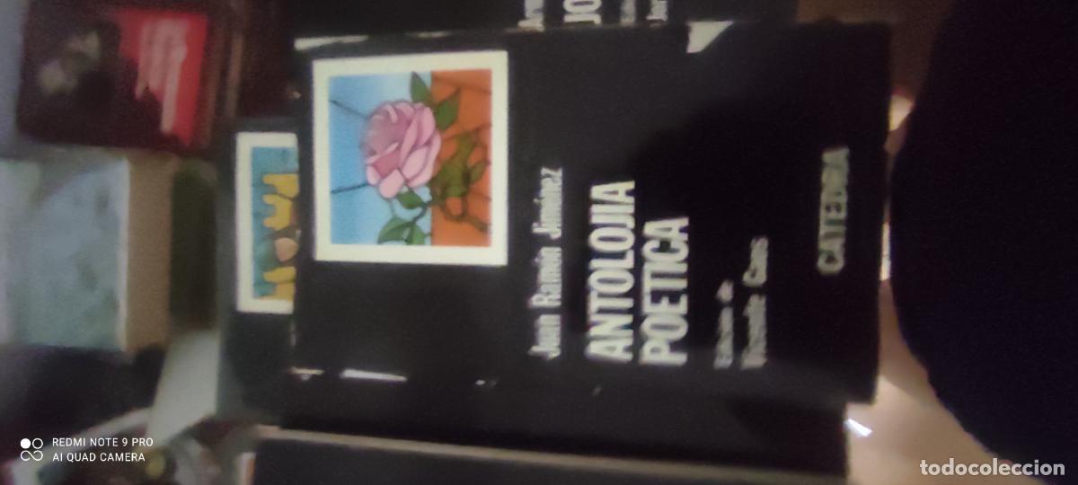Libros de segunda mano: J.R. Jimenez. Antolojia po&eacute;tica. C&aacute;tedra