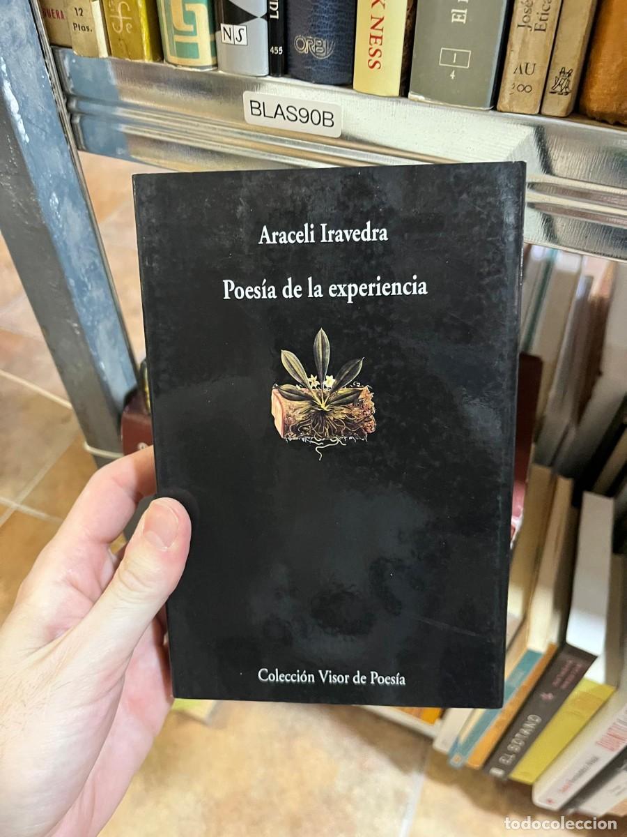 Libros de segunda mano: BLAS90B &mdash; Araceli Iravedra &mdash; Poes&iacute;a de la experiencia &mdash; Visor Libros.