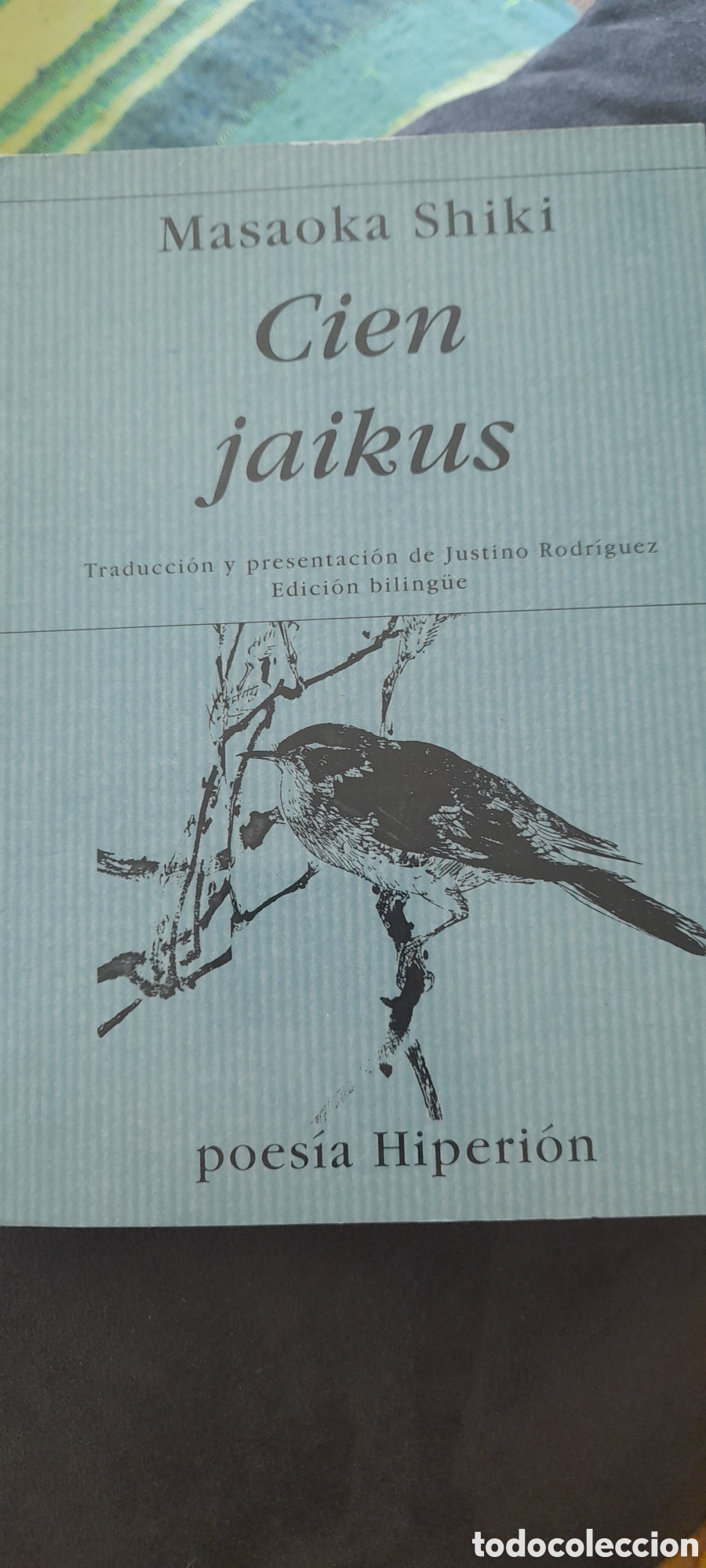 Libros de segunda mano: Cien jaikus. Masaoka Shiki