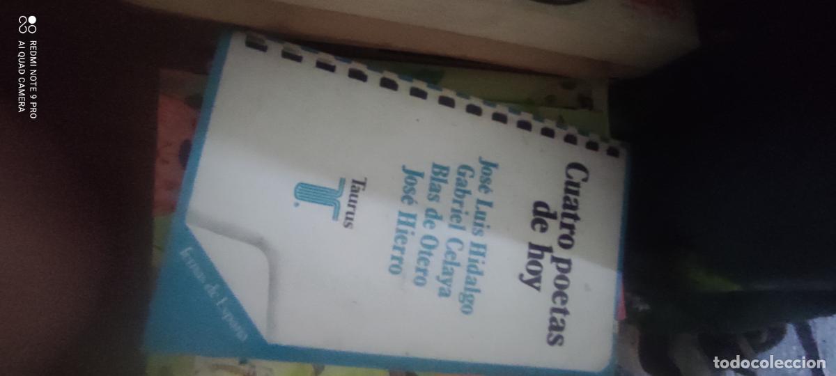 Libros de segunda mano: Cuatro poetas de hoy
