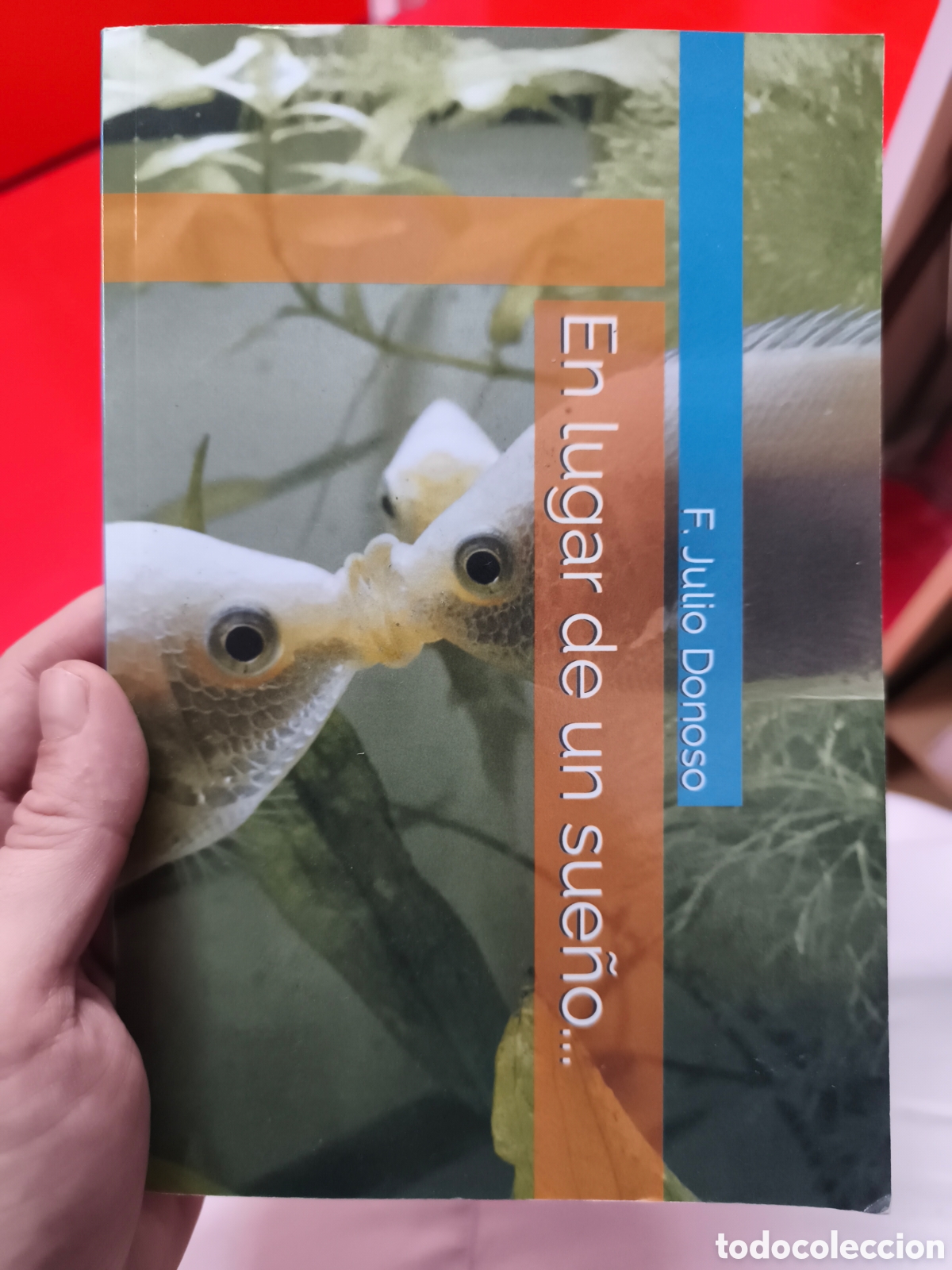 Libros de segunda mano: En lugar de un sue&ntilde;o... F. Julio Donoso