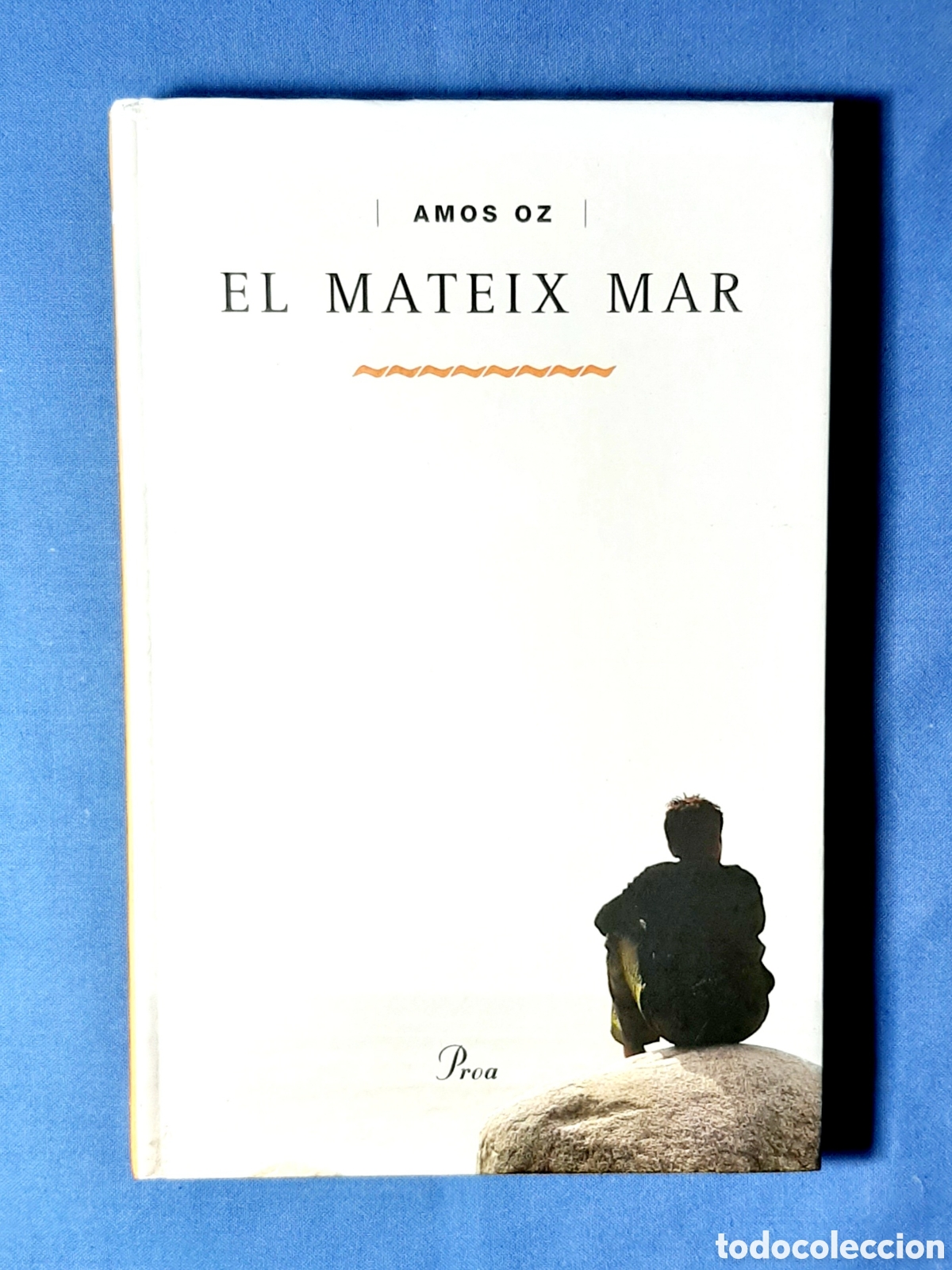 Libros de segunda mano: EL MATEIX MAR. AMOS OZ. MANUEL FORCANO. PRIMERA EDICI&Oacute;. 2002. DESCATALOGAT. CATAL&Agrave;.