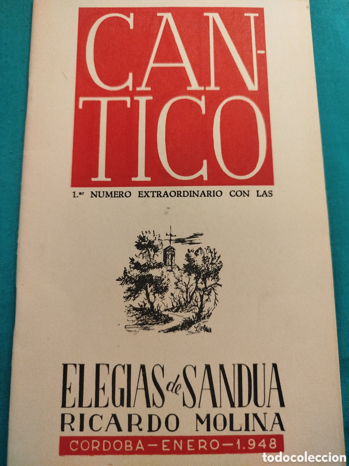 Libros de segunda mano: Ricardo Molina. Eleg&iacute;as de Sandua. C&aacute;ntico