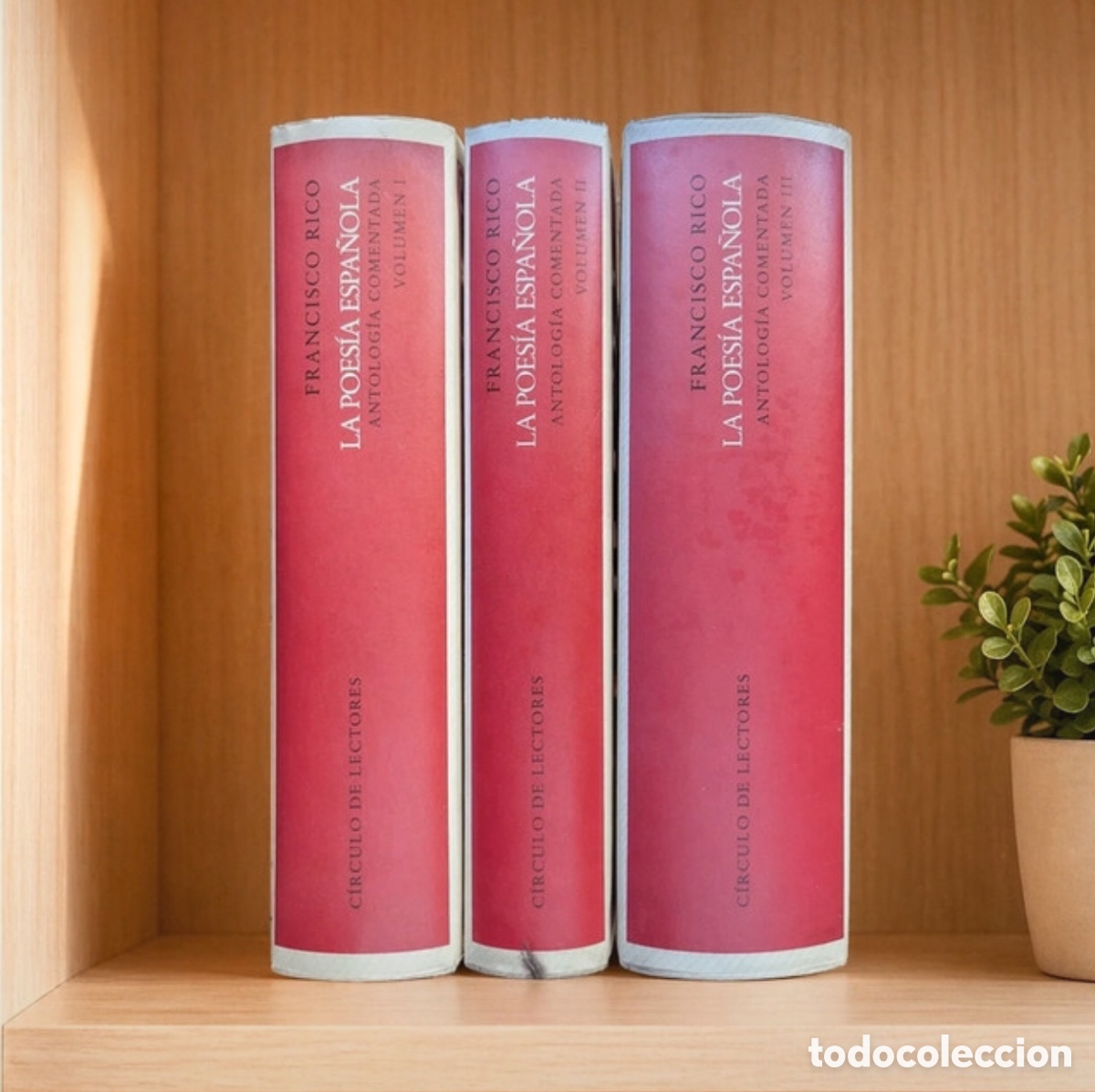 Libros de segunda mano: La Poes&iacute;a Espa&ntilde;ola. Antolog&iacute;a Comentada De Francisco de los R&iacute;os