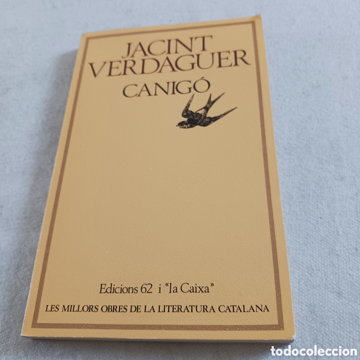 Livres d'occasion: Canig&oacute; de Jacint Verdaguer